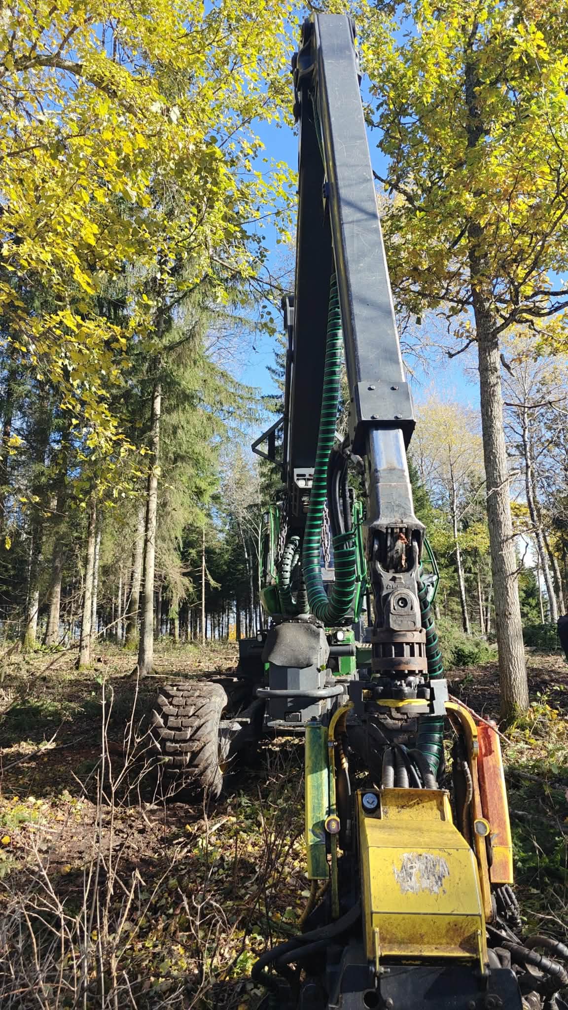 Harvester metsaraiel